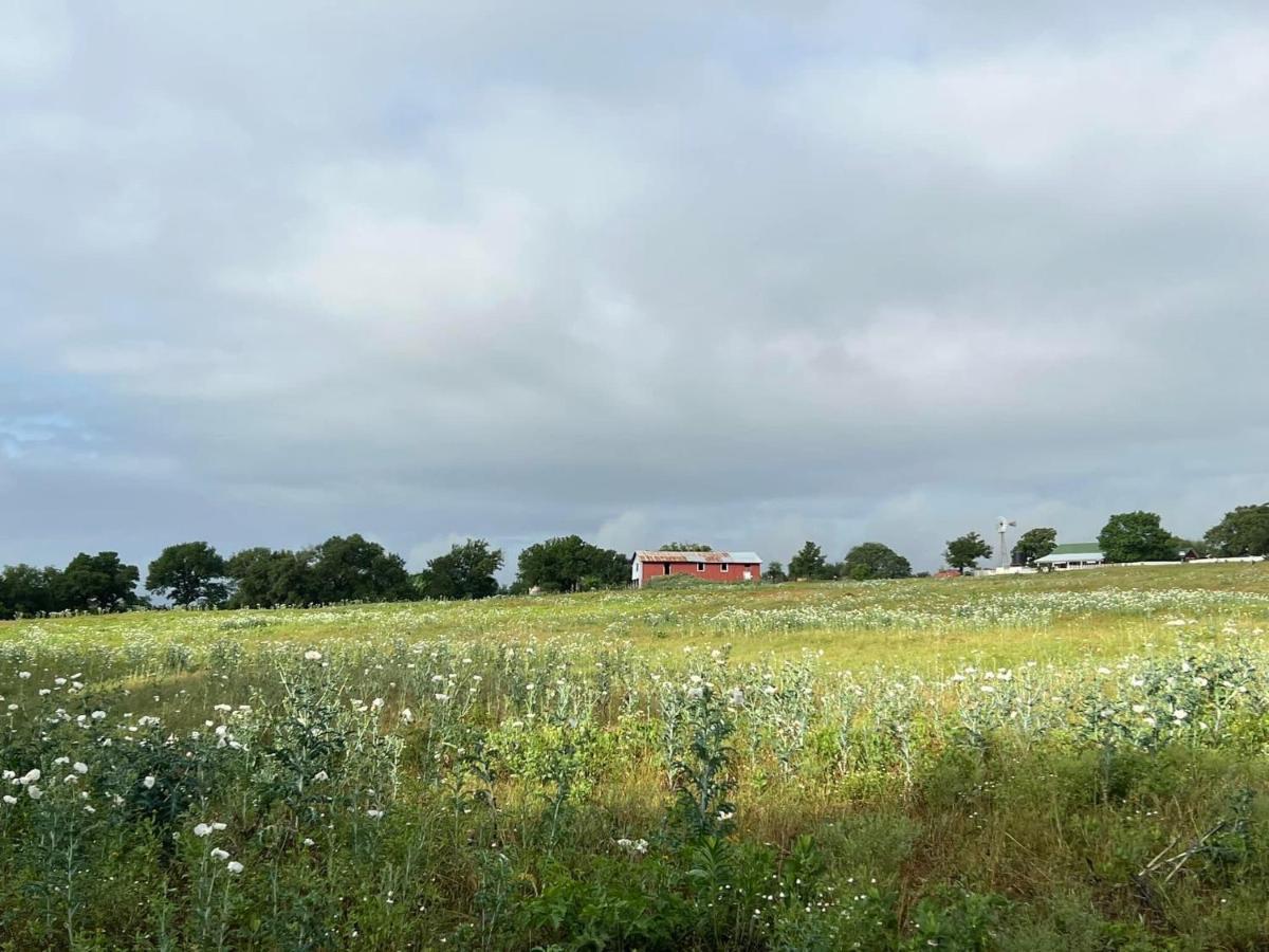 Stay On A 350-Acre Cattle Ranch! Brazos River! Tubing! Petting Zoo! Weatherford Exterior foto
